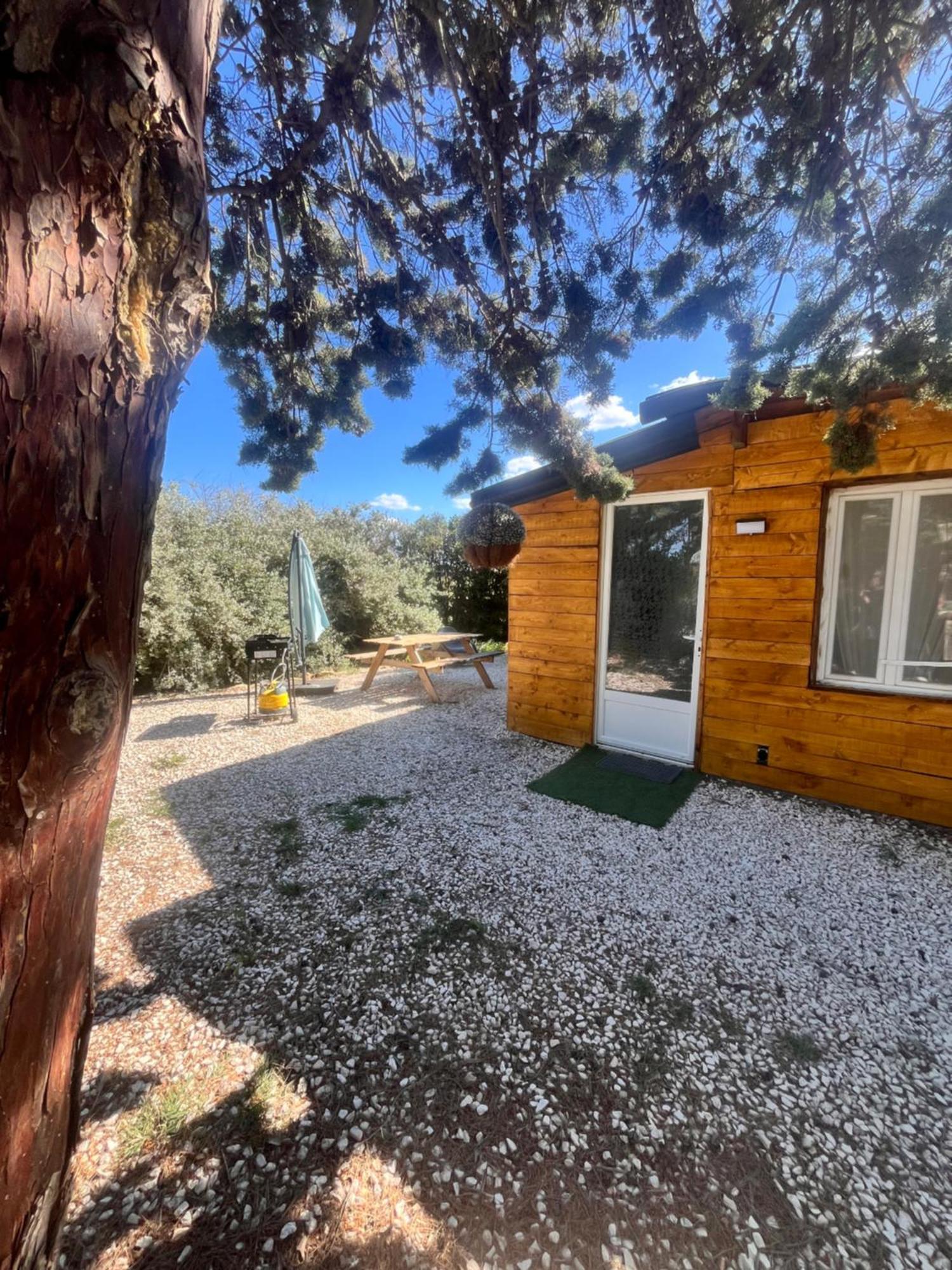 Villa Location T3 Jardin Avec Piscine Mèze Exterior foto